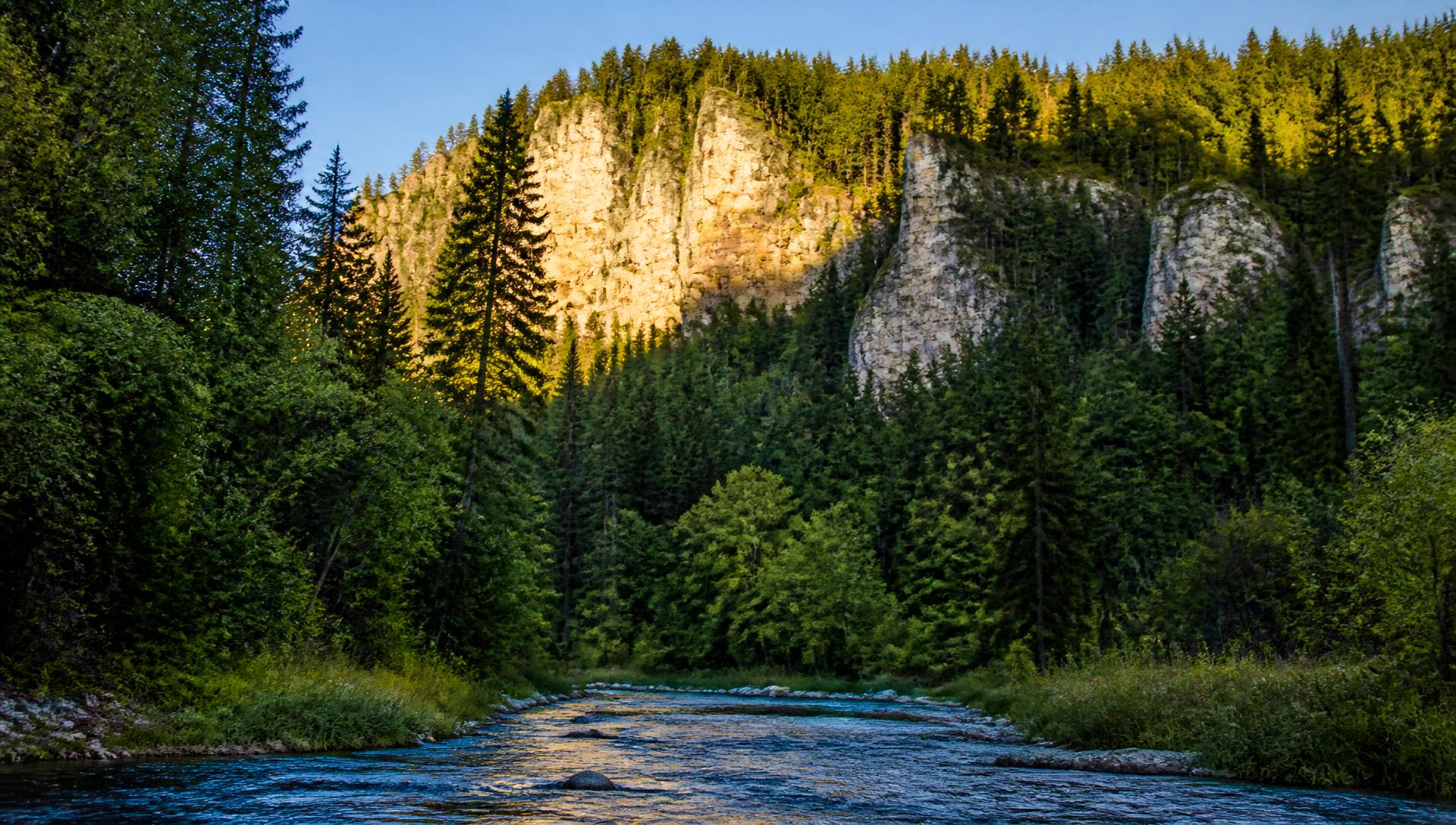 Spearfish Canyon in the Black Hills of South Dakota